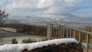 Barandilla de metal con vistas a un viñedo cubierto de nieve, con una montaña al fondo.