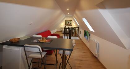 Chambre chez l'habitant " L'Ăcureuil " in the heart of Riquewihr 2 people