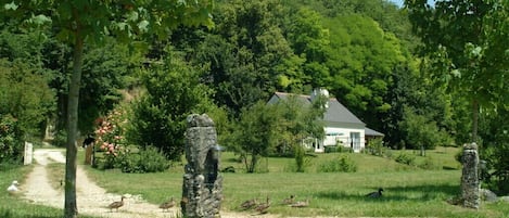 Terrein van de accommodatie