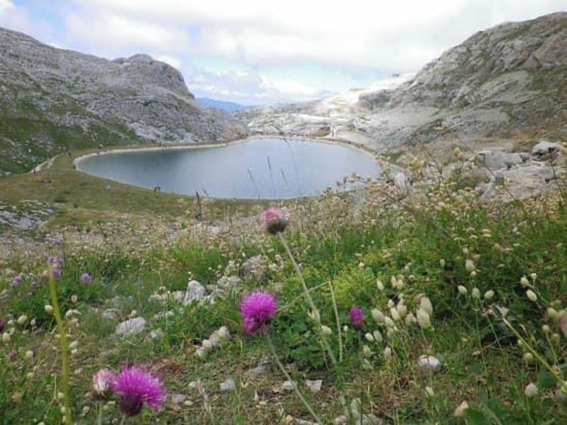 Un paysage naturel composé d’un lac entouré de reliefs rocheux et de fleurs sauvages.