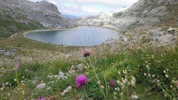 Un paysage naturel composé d’un lac entouré de reliefs rocheux et de fleurs sauvages.