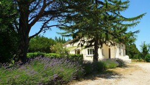 Une maison à la façade en pierre, entourée d’une végétation luxuriante et de champs de lavande.