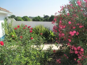 Overnattingsstedets uteområder