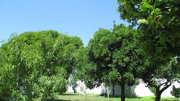Área da propriedade
