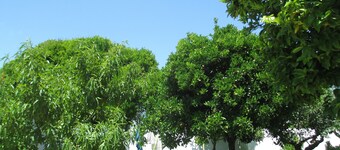 Charming single-storey villa with private pool and Jacuzzi.