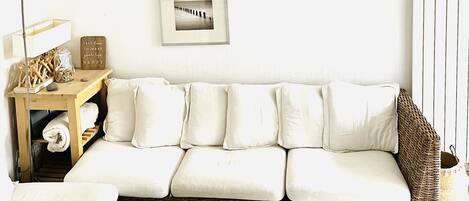 Téléviseur, lecteur de DVD, livres, sélection de films