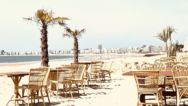 A beachside restaurant with wicker chairs and tables, palm trees, and a clear view of the ocean and city skyline in the background. - NEW in LABAULE! Near the beach, quality flat for 4 people,garden,swimming-pool (La Baule-Escoublac)