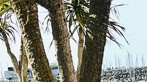 A table with two empty wine glasses and a bottle, set against a backdrop of palm trees and a marina with boats. - NEW in LABAULE! Near the beach, quality flat for 4 people,garden,swimming-pool (La Baule-Escoublac)