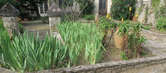 A touch of sunshine in Provence