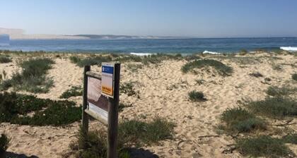 CAP-FERRET-Center T2 JARDINET SUD in 50m OCEANE BEACH. ANGEBOTE 10% Juli / August