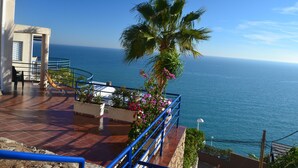 A terrace with a view of the sea, a palm tree, and a blue railing.