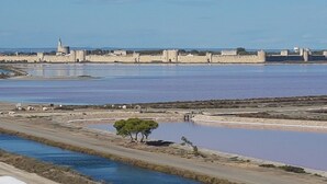 A view of a fortified historical site with a large body of water, a small island with trees, and a distant castle-like structure. - Panoramic sea and pond view not overlooked. (Mauguio)