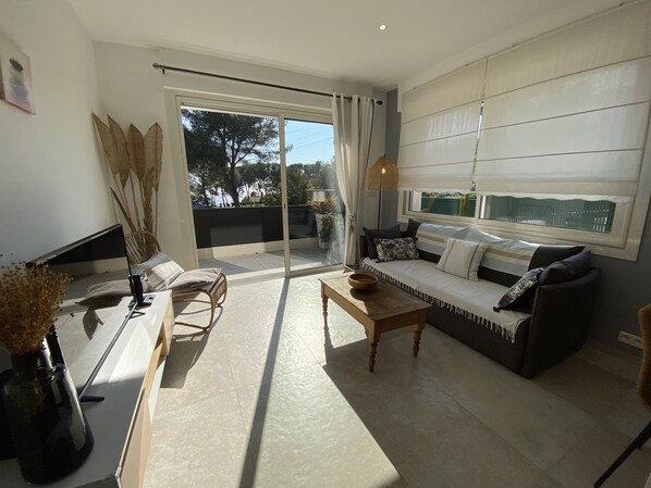 تلفزيون، مشغل دي في دي، تنس طاولة، كُتُب