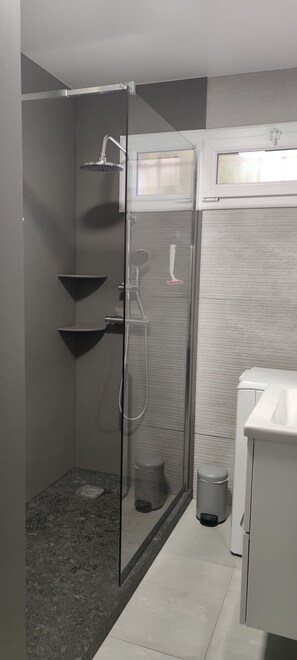 Combined shower/bathtub, hair dryer, towels, toilet paper