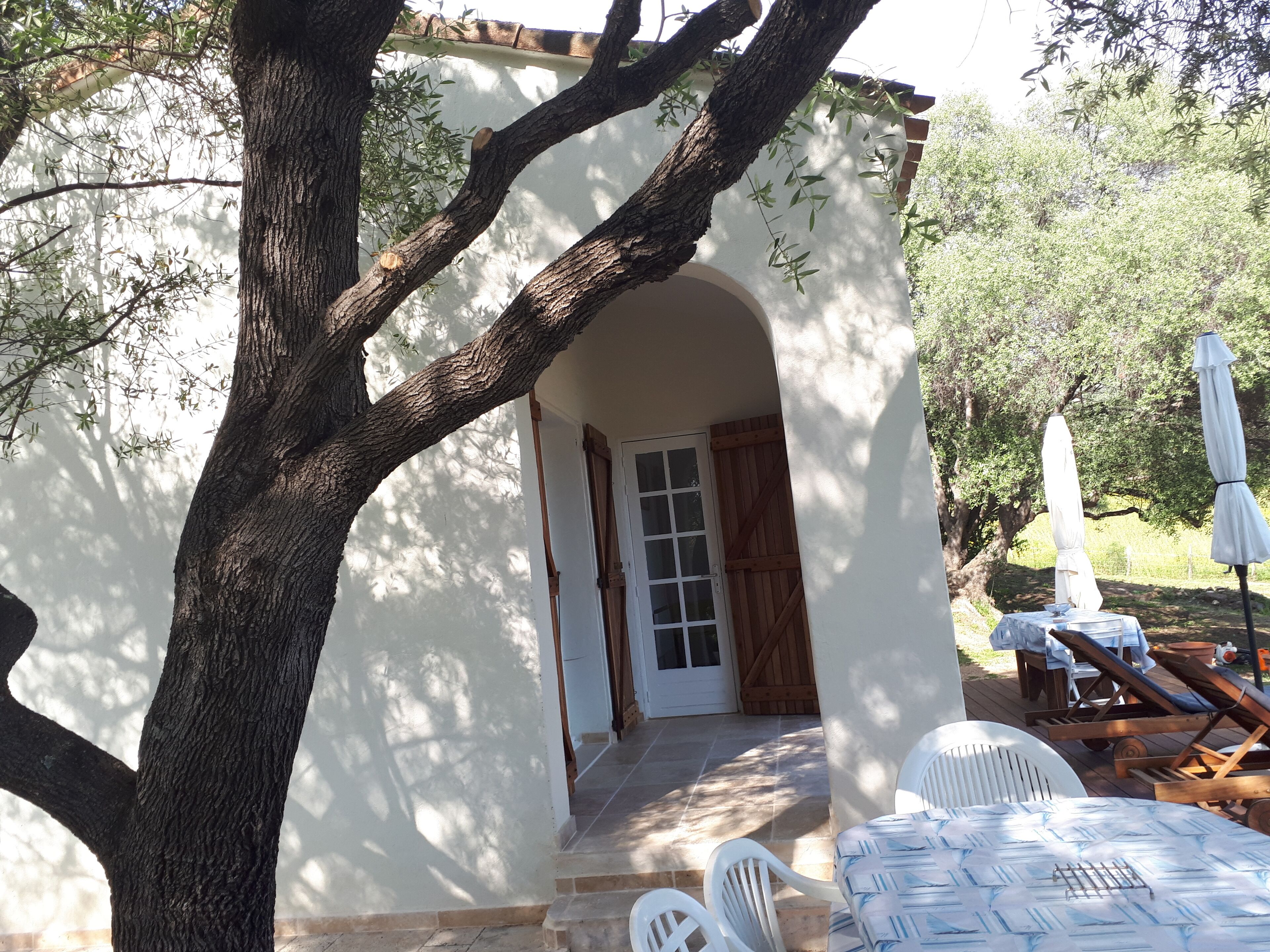 Un espace extérieur abrité, avec une table et des chaises, une porte en bois et un arbre au premier plan.