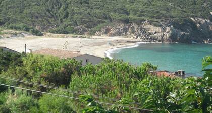Tizzano Corse du sud plage 120m
