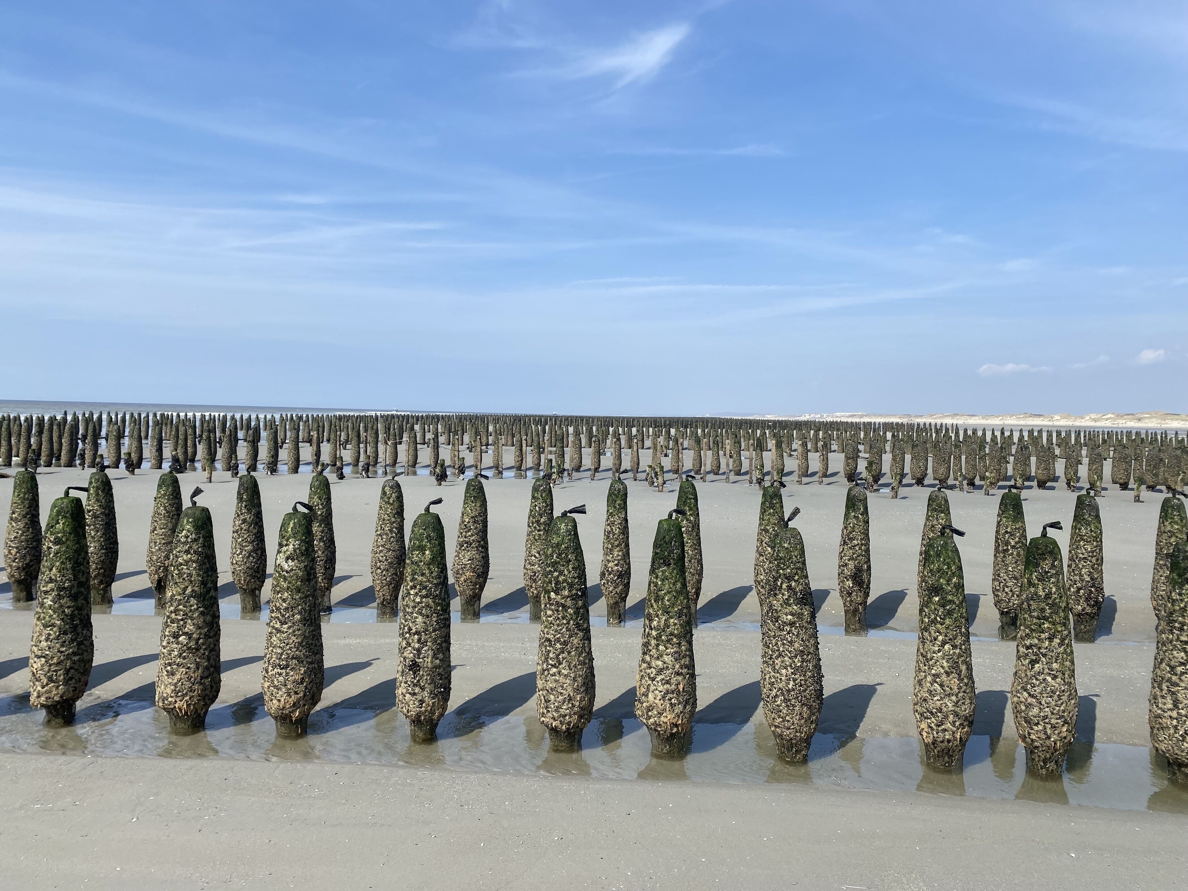 Vlak bij het strand