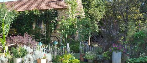 المنطقة المحيطة بالمنشأة