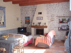 TV, fireplace, DVD player, books