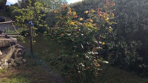 A garden with a variety of plants and a wooden structure. - Large salted swimming pool heated from May to September for 4 people (Vence)