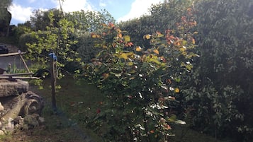 Overnatningsstedets område