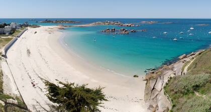 House 10/12 people with studio by the sea in TREGASTEL