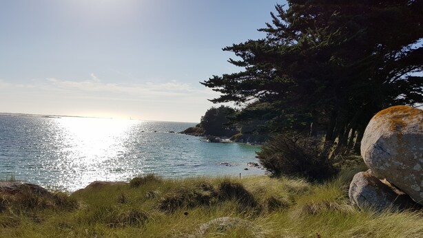 A coastal landscape with a clear sky, a body of water reflecting sunlight, and a grassy foreground with large rocks.