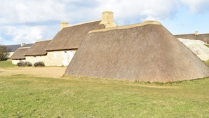 Thatched-roof cottages with stone walls and chimneys, set in a grassy area with a clear sky.