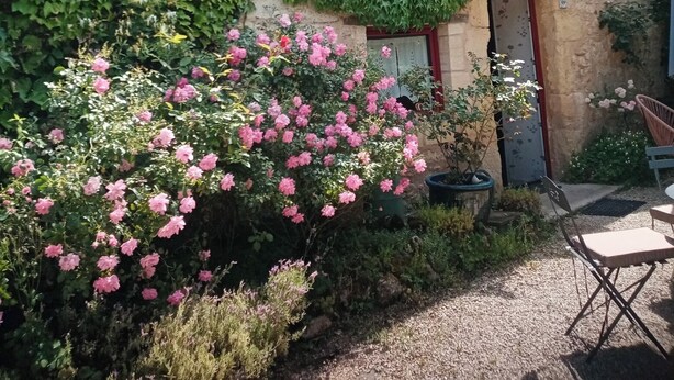 Ein Gebäude aus Stein mit Efeu bewachsenen Wänden, einer Tür mit rotem Rahmen und rosa Blumen im Vordergrund.