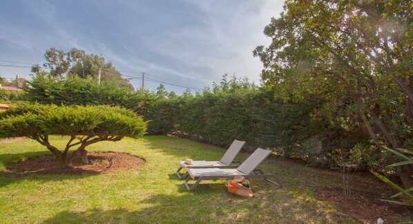 A garden with two lounge chairs, a small tree, and dense shrubbery.