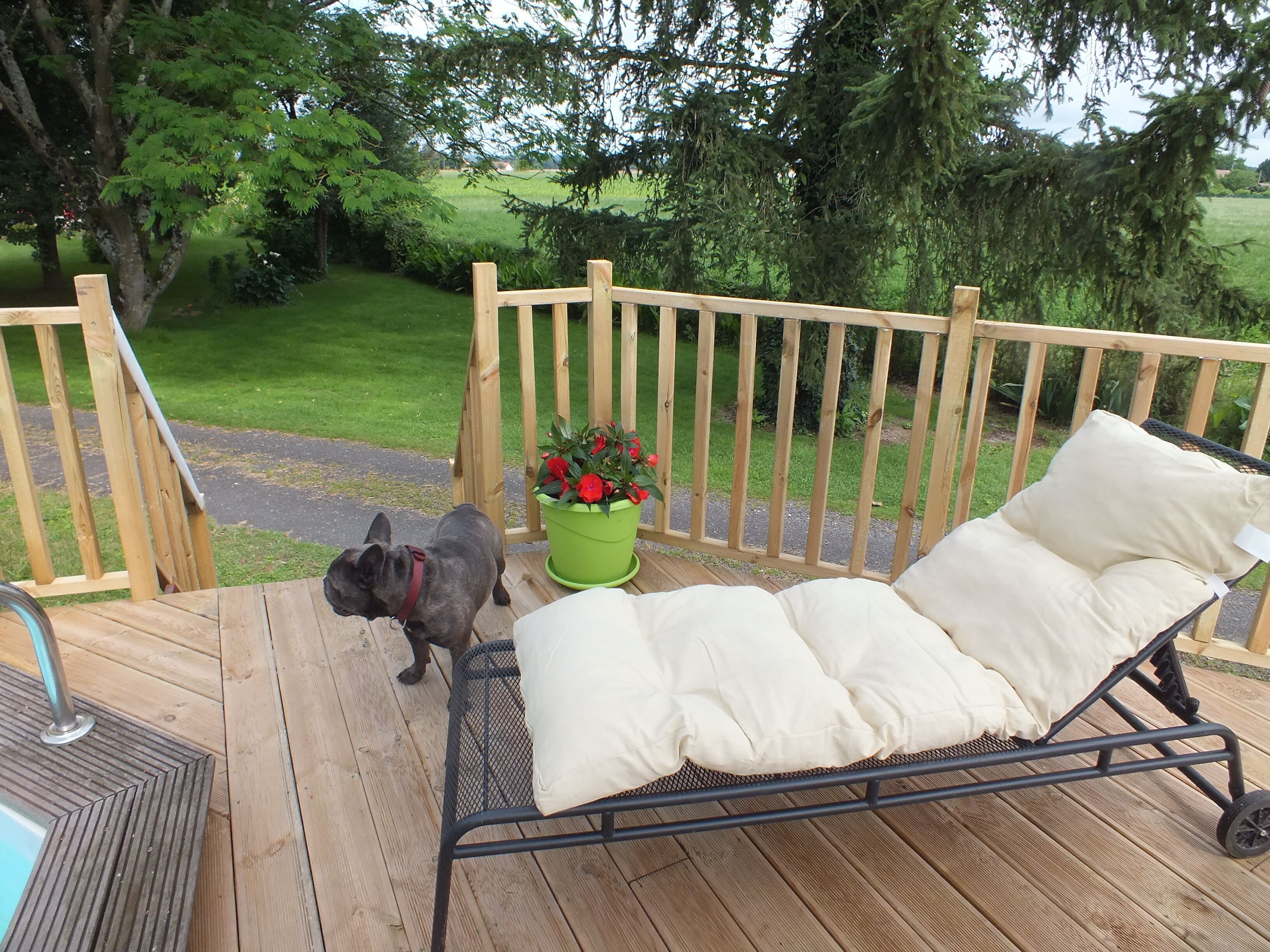 Une terrasse en bois avec une chaise en métal et un petit chien.