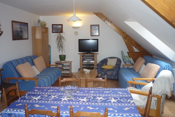 Smart TV, DVD player, ping pong, books