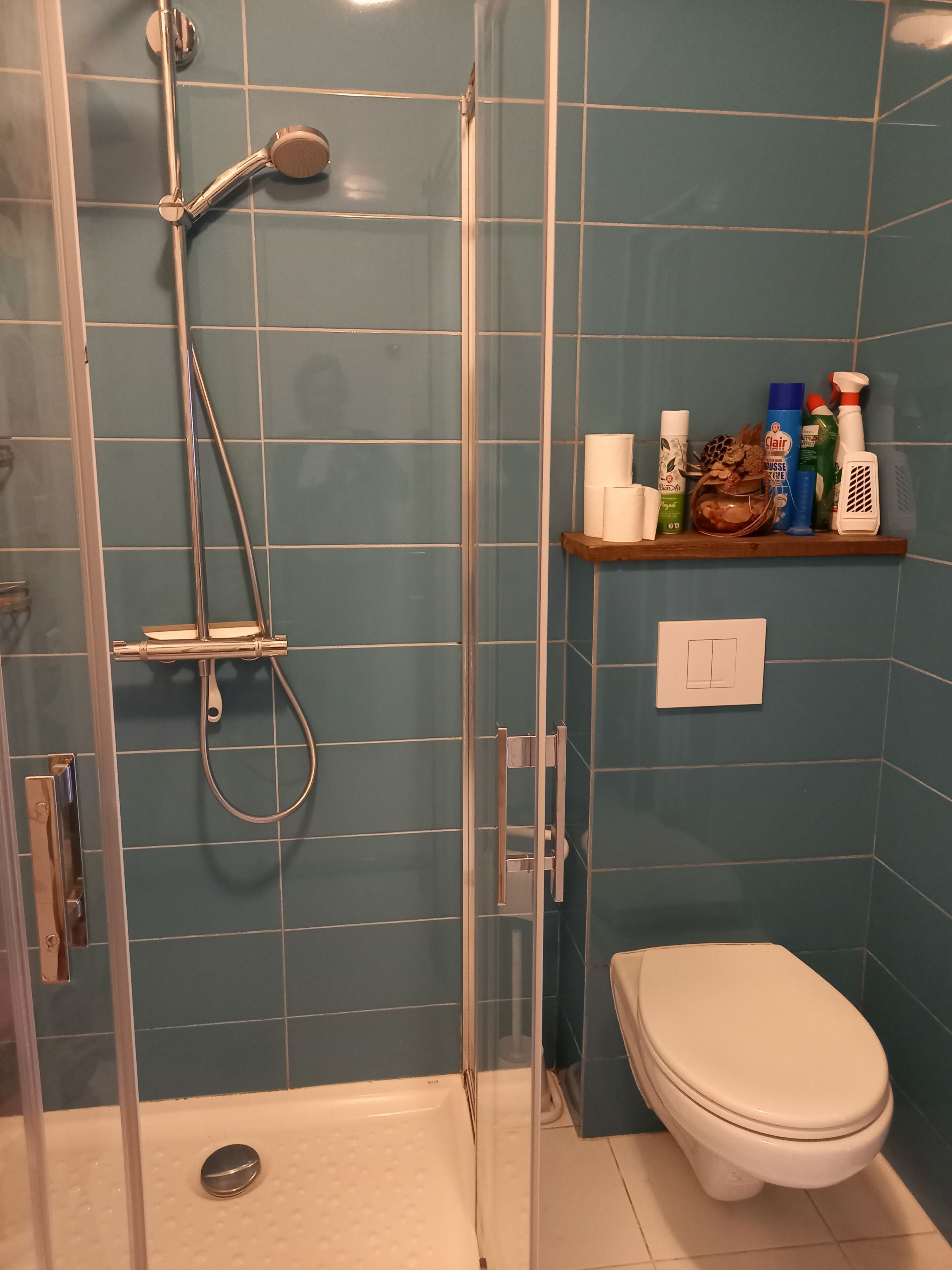 Shower, hair dryer, towels, toilet paper