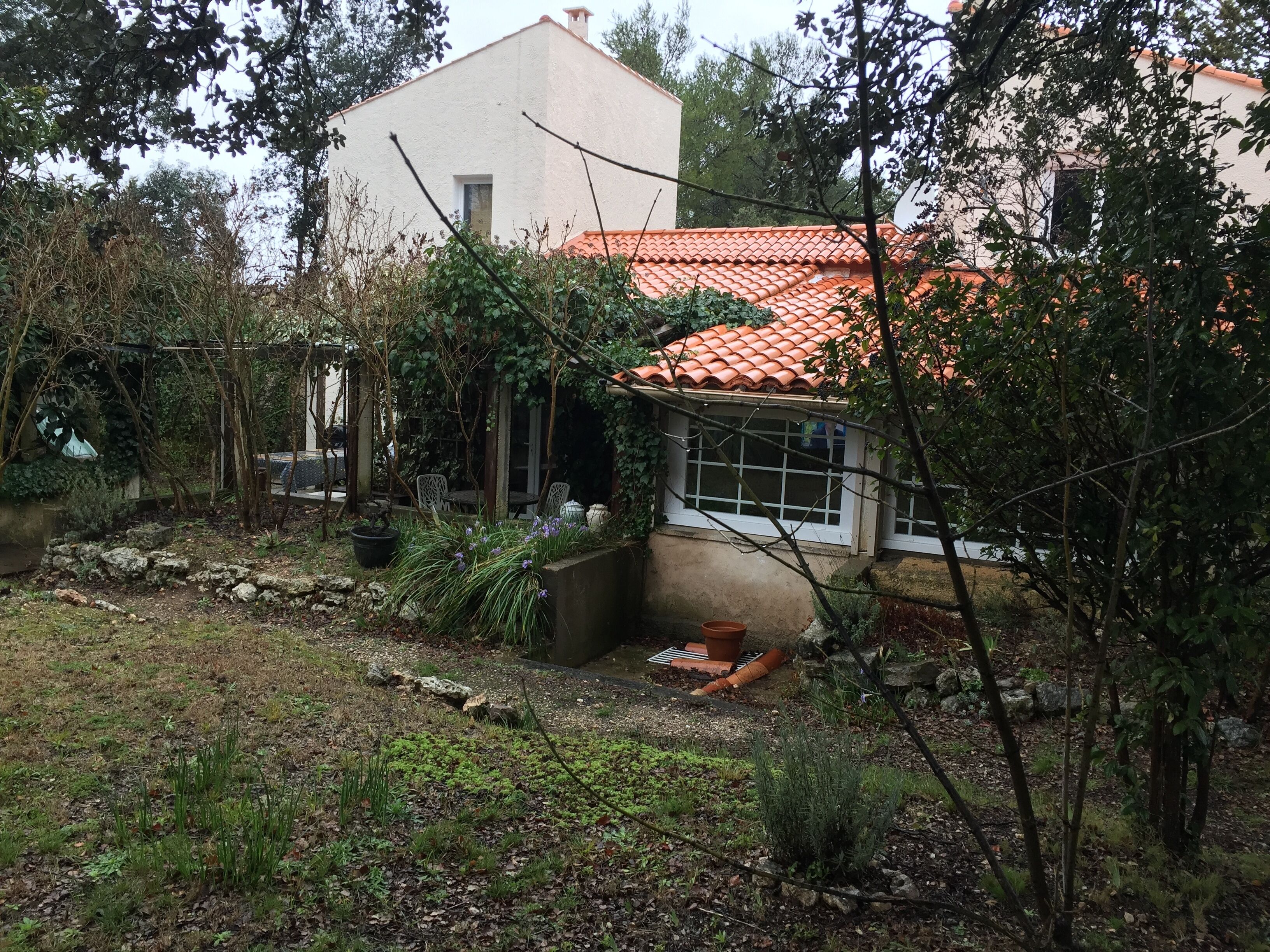 A rustic house with a tiled roof, surrounded by a garden with various plants and a small pond.