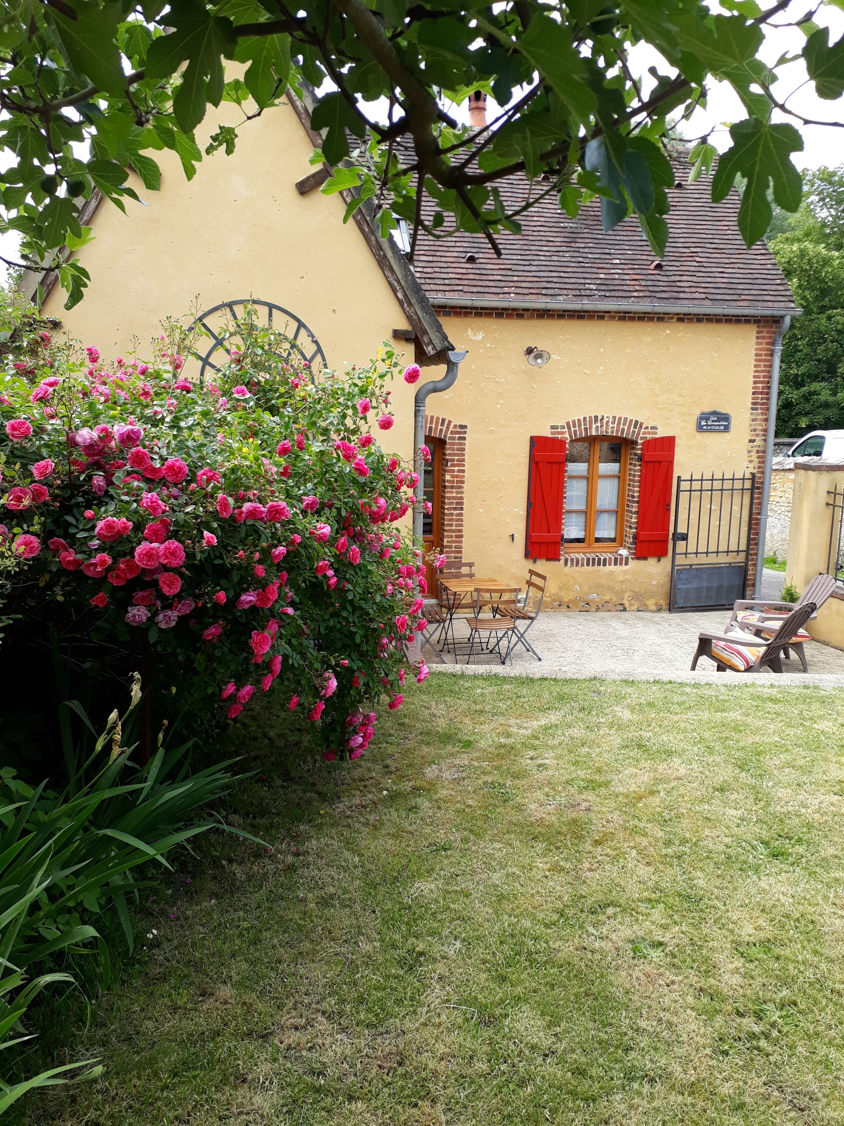 jardin et terrasse