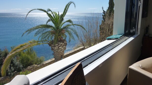 Un balcone con vista sul mare, una palma e una sedia.
