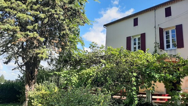 A house with a large tree in the foreground and a clear blue sky. - old farmhouse renovated (Aiguillon)