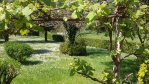 A garden with a pergola, lush greenery, and a variety of plants. - old farmhouse renovated (Aiguillon)