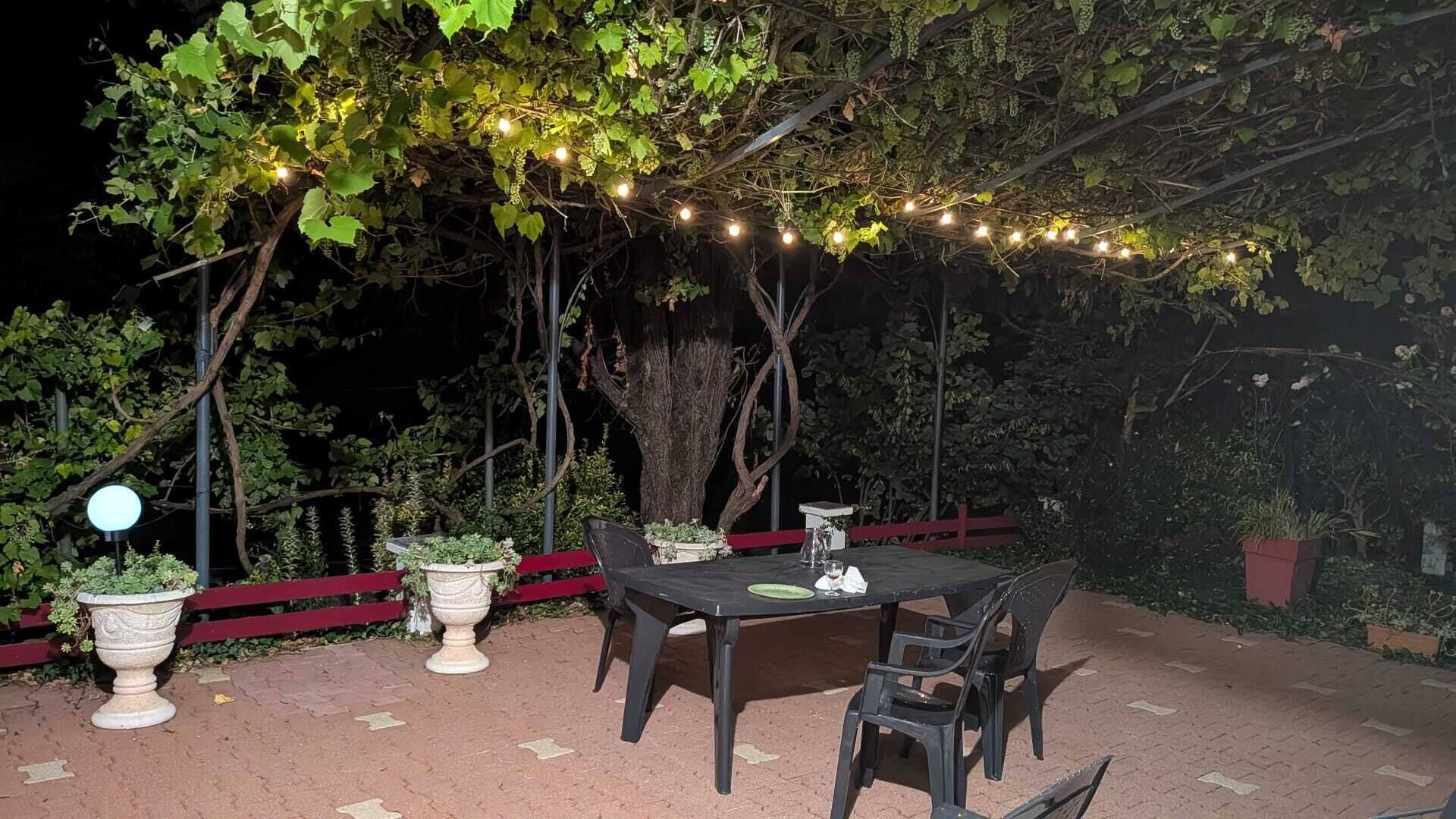 Ein Essbereich im Freien mit Tisch und Stühlen, umgeben von Blumentöpfen und einem roten Zaun.