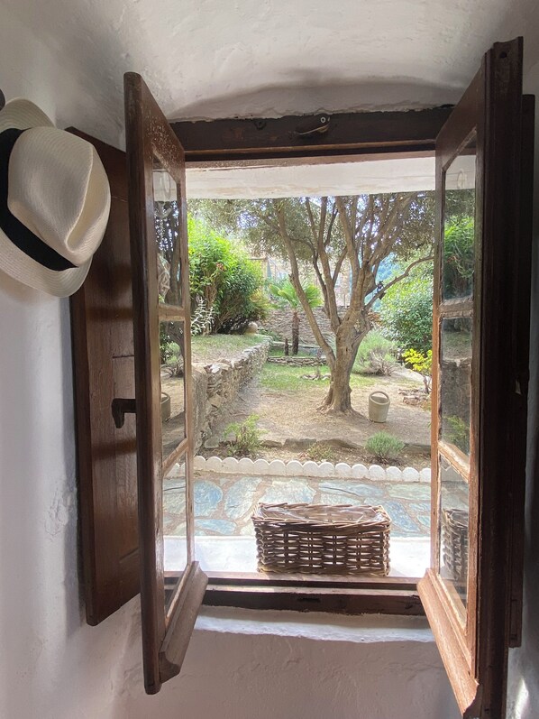 An open wooden door leading to a garden with a wicker basket on the steps.