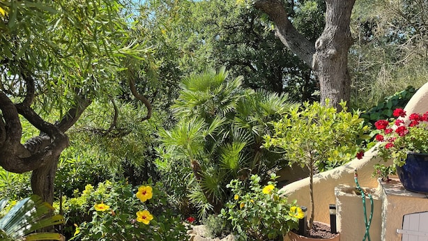 A garden with various plants and flowers, including yellow and red blooms, and a tree trunk. - House in Grimaud with exceptional views of the sea and the Gulf of Saint-Tropez (GRIMAUD)
