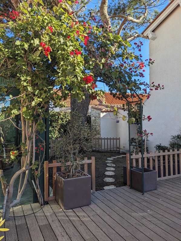 Property grounds - Cozy charming villa just steps from the beach (Saint-Cyprien)
