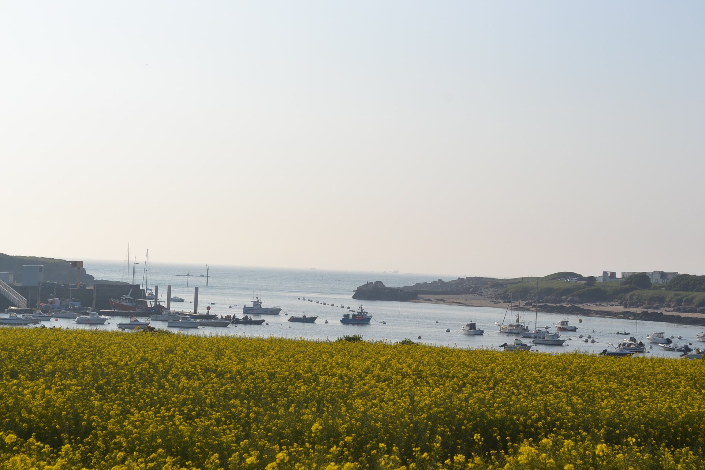 Port de plaisance