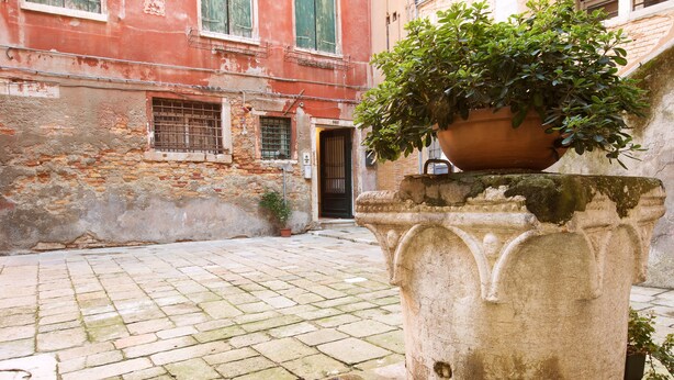 A courtyard with a stone floor, a large planter with a plant, and a building with a door and windows in the background.