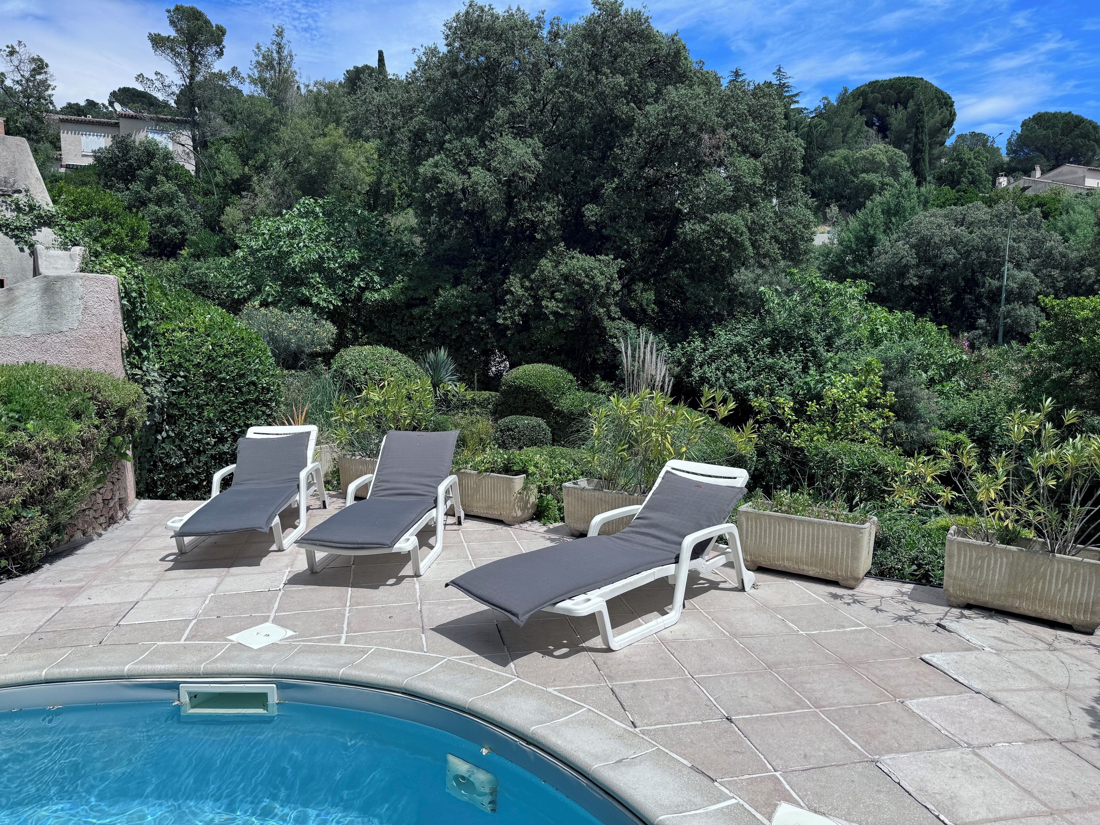 Zona junto a la piscina con sillones de descanso y una pileta.