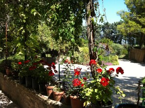 Property grounds - Studio in the heart of the Luberon park (Robion)