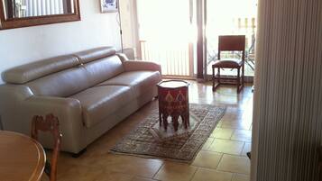 TV, DVD player, video library