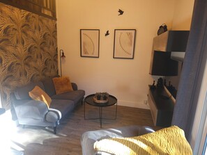 Smart TV, DVD player, books