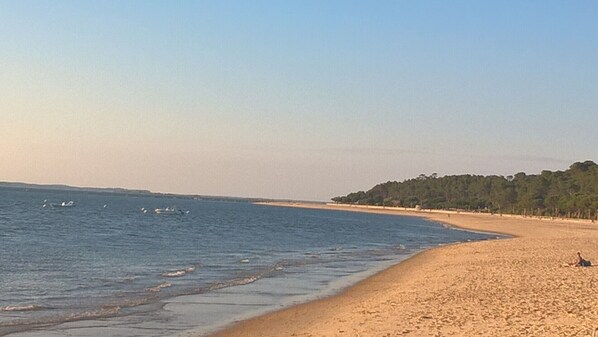 بالقرب من الشاطئ