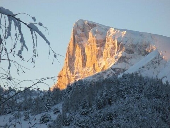 A snow-covered mountain with a prominent peak and a forested area at its base.